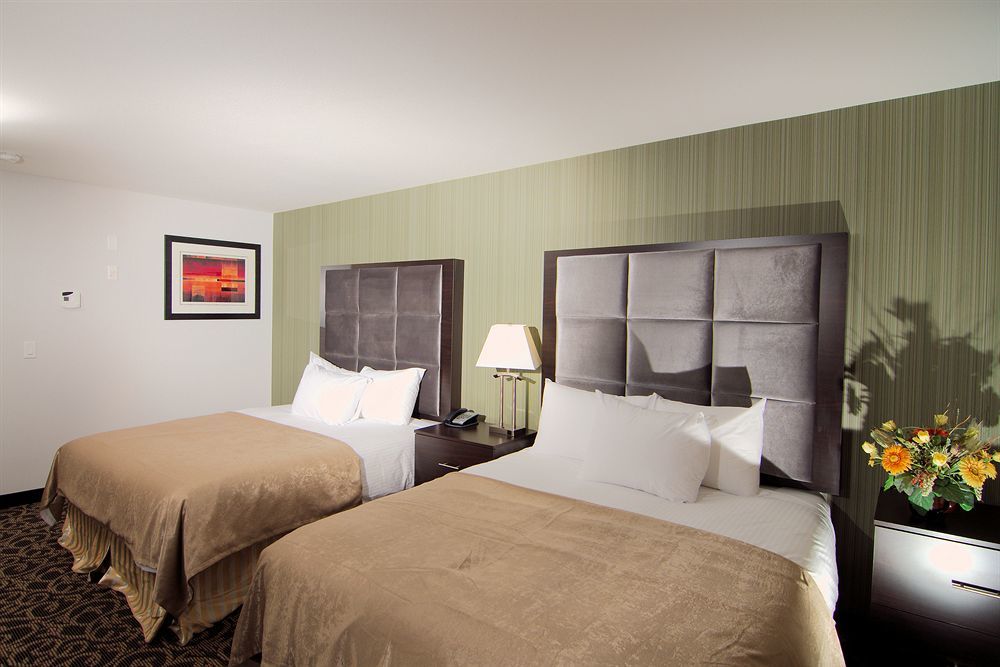 Paradise Inn And Suites Redwater Exteriér fotografie